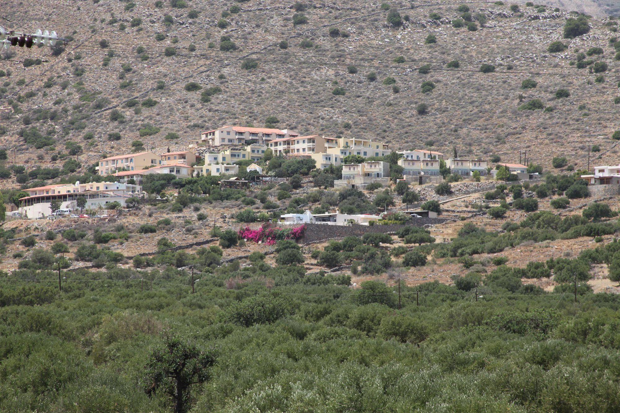Elounda Olive Garden Apts & Studios Exterior photo
